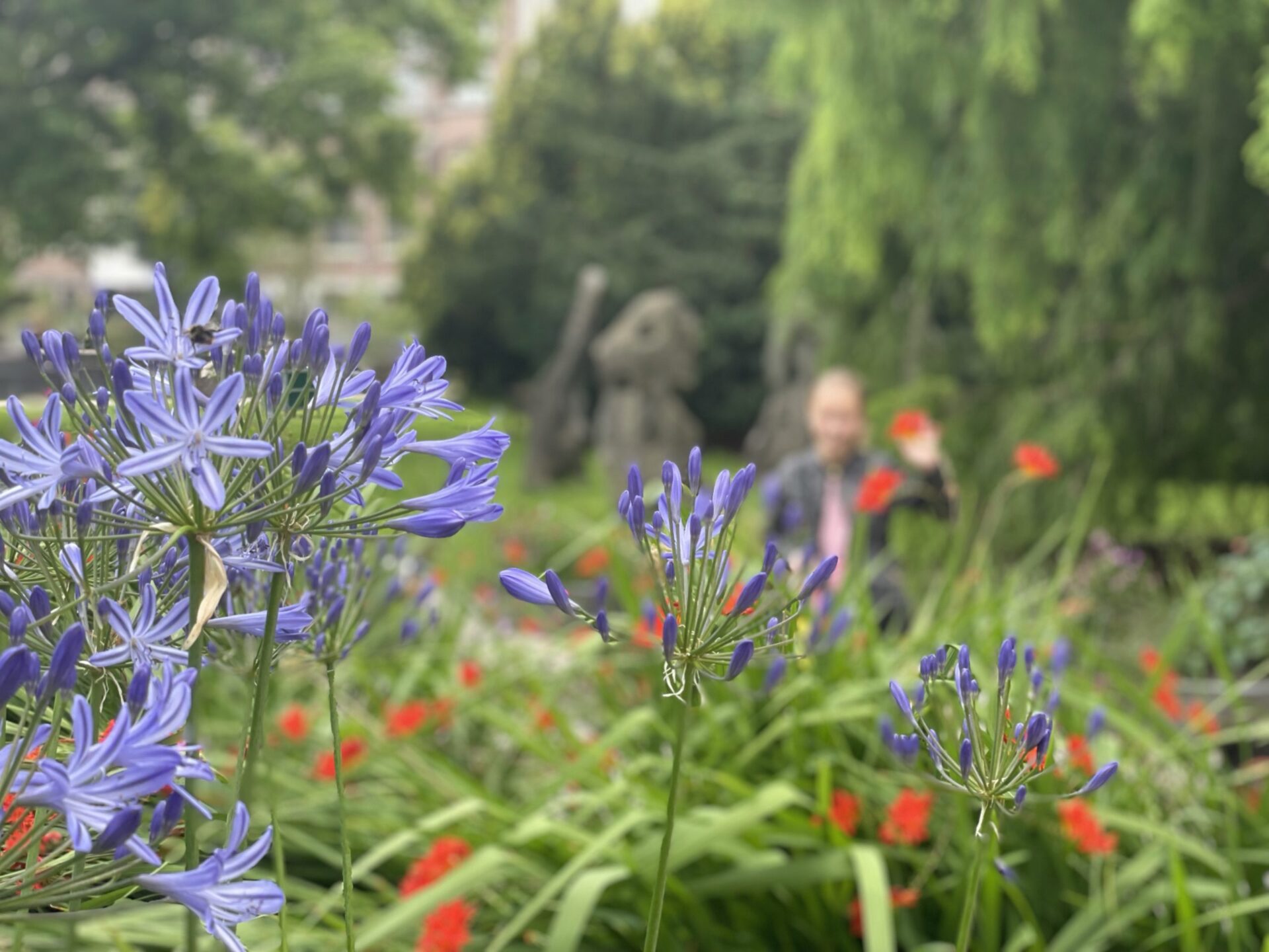 hortus botanicus leiden