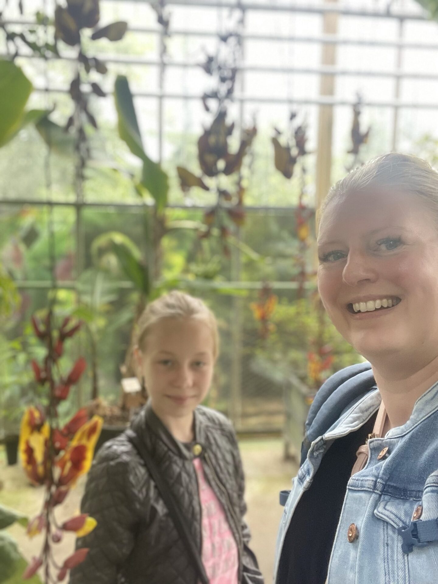 hortus botanicus leiden