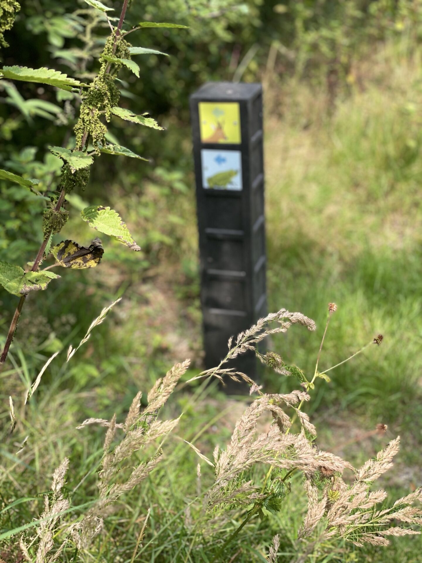 duincampus wassenaar dunea meijendel