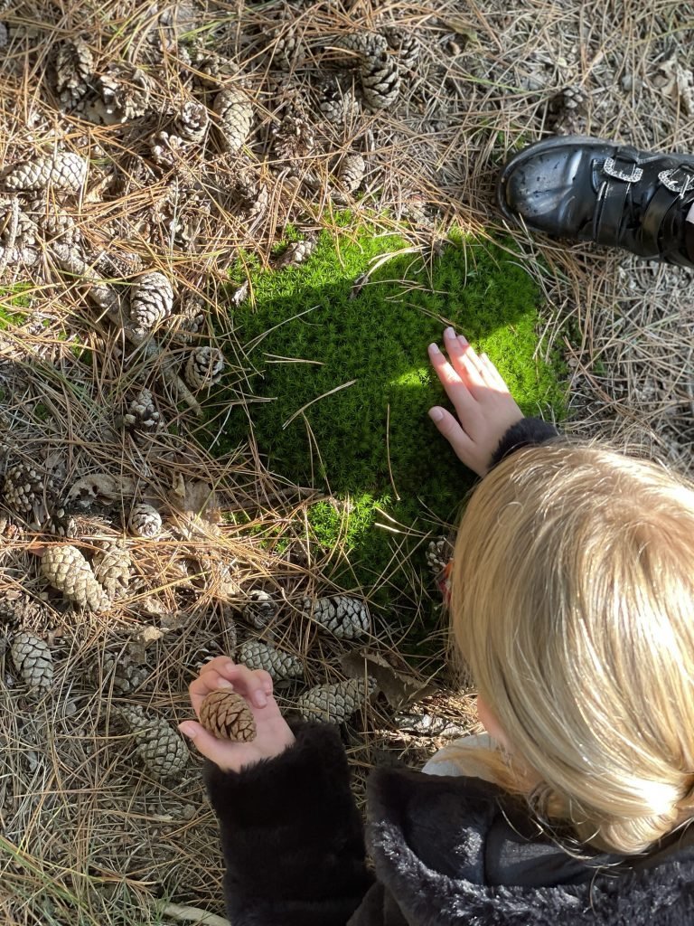 keimooie wandelroute Roompot Schaijk