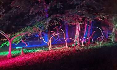 de grote schijn rotterdam lichtshow