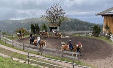 roter hahn vakantie zuid-tirol