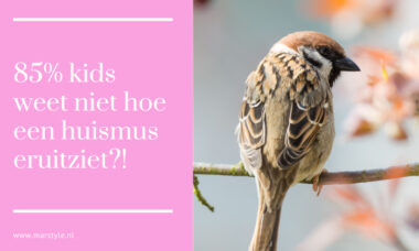 huismus