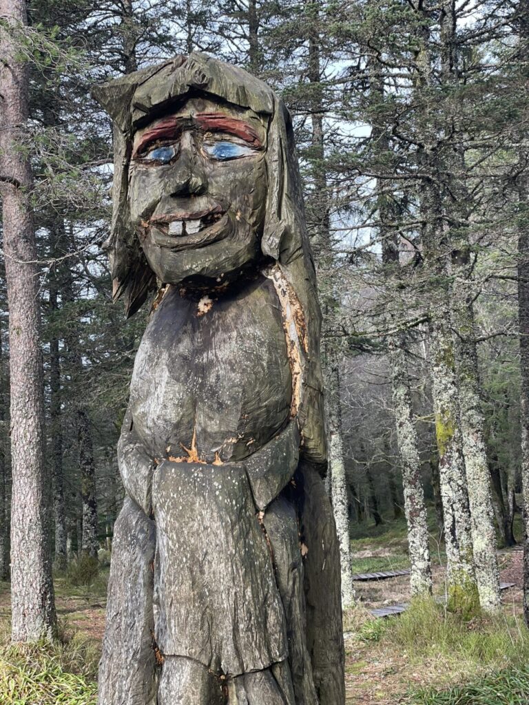 mount floyen bergen noorwegen trol