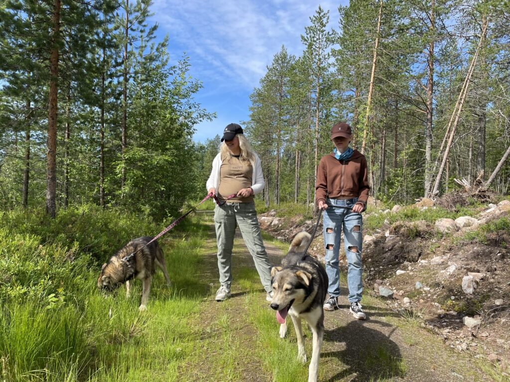 bearhill husky rovaniemi