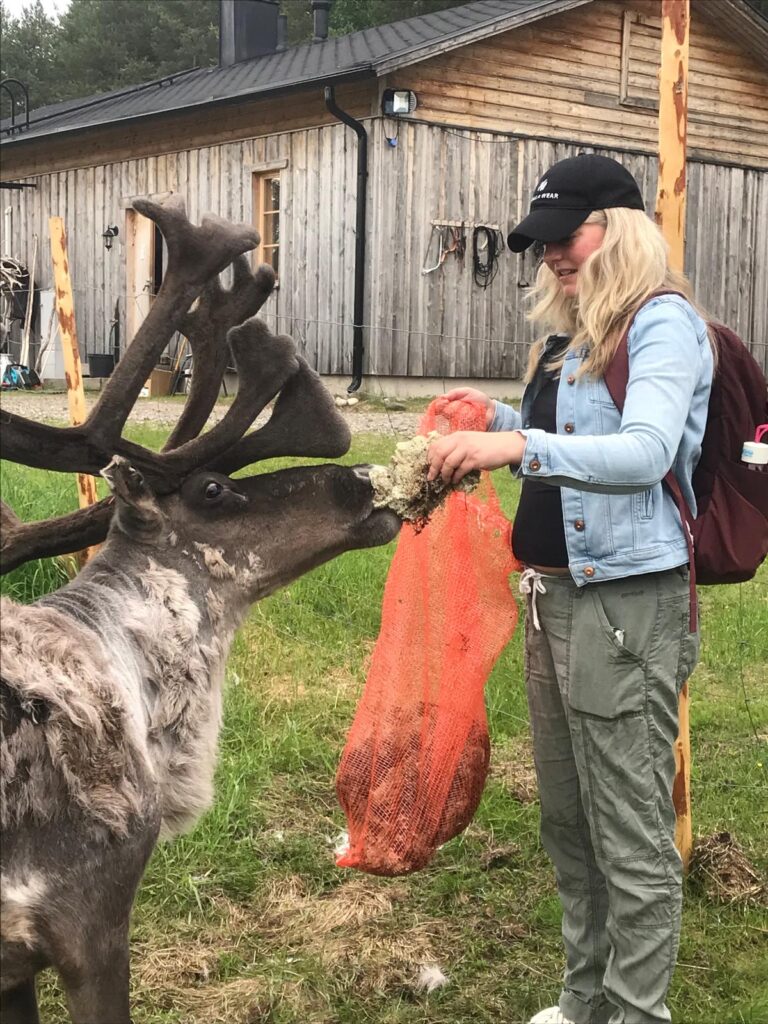 reindeer farm